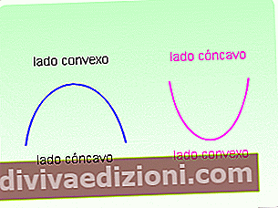 Definisi Concave