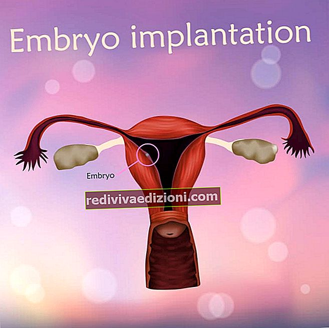 Cuibărirea sau implantarea embrionilor - definiție, concept și ce este