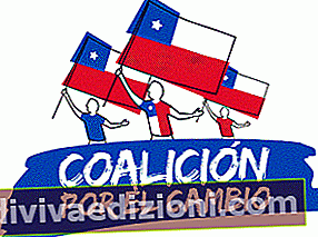 Definiția Coalition