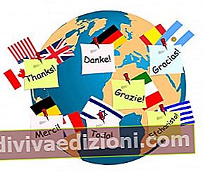 言語の多様性の定義